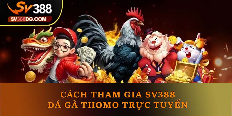 Cách tham gia SV388 đá gà Thomo trực tuyến