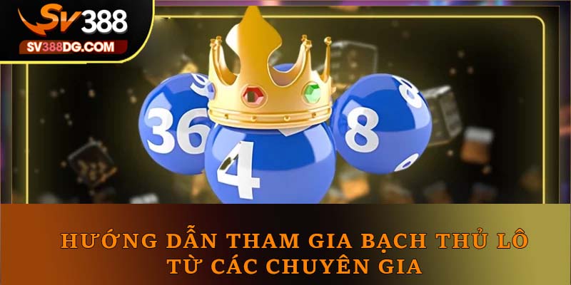 Hướng dẫn tham gia bạch thủ lô từ các chuyên gia