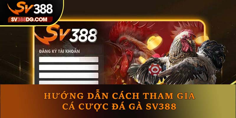 Quy cách tham gia cá cược chọi gà SV388