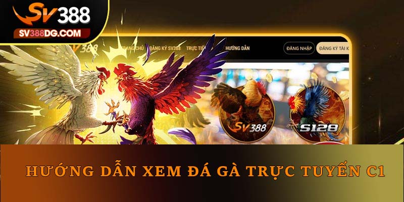 Hướng dẫn xem đá gà trực tuyến C1