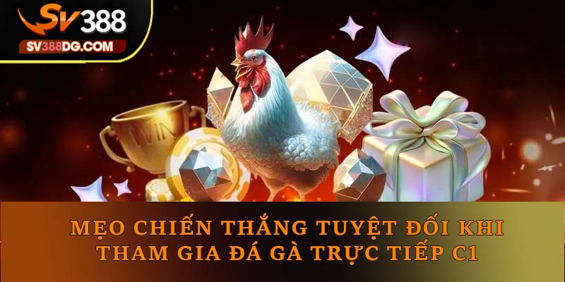 Mẹo chiến thắng tuyệt đối khi tham gia đá gà trực tiếp C1 